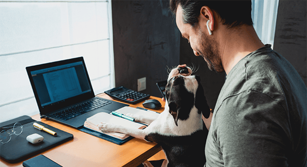Man_working_from_home_with_dog